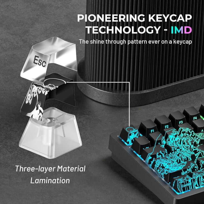 HITIME x XVX Kanagawa Keycaps 60 75 100 Percent - Shine Through Keycaps w/IMD Tech, for Mechanical Keyboards, Full 118 Key Set, OEM Profile, Lines Backlit, Side Printed - Black - Image 3